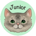 Junior the Cat