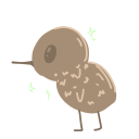 [Kiwi]