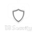 BD Security remake